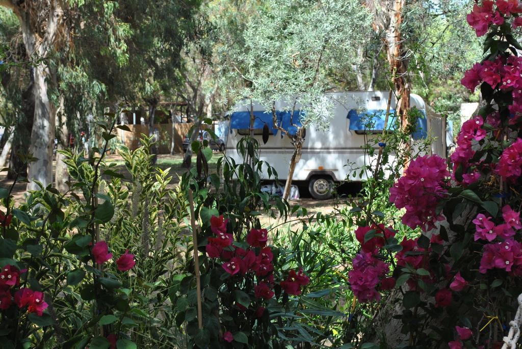 Camping Village Baia Falcone Vieste Exterior foto